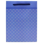 Túi giấy màu xanh